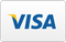 Visa logo, blue text with yellow accent on a white background.